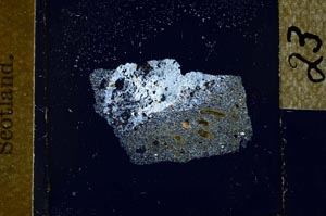 Cross Polarized, S23911/b