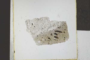 Plane Polarized, S23911/b