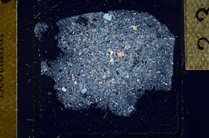 Cross Polarized, S23912/A