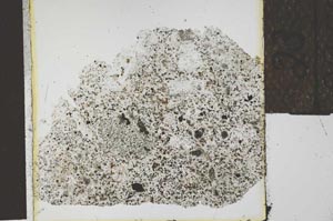 Plane Polarized, S23913