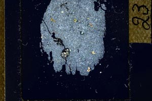 Cross Polarized, S23914