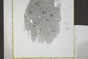 Plane Polarized, S23914