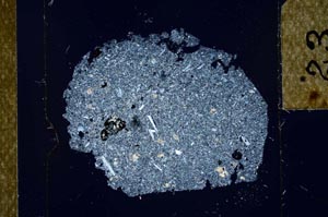 Cross Polarized, S23915