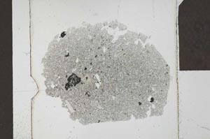 Plane Polarized, S23915