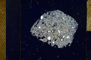 Cross Polarized, S23916