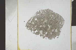 Plane Polarized, S23916