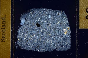 Cross Polarized, S23917