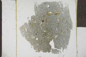 Plane Polarized, S23918