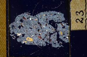 Cross Polarized, S23919