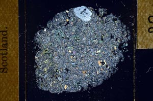 Cross Polarized, S23920