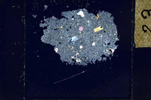 Cross Polarized, S23922