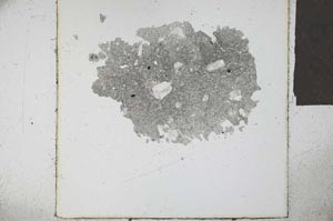 Plane Polarized, S23922