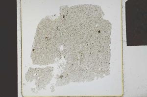 Plane Polarized, S23924