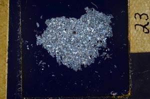 Cross Polarized, S23927