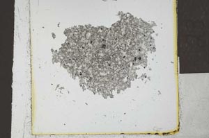 Plane Polarized, S23927