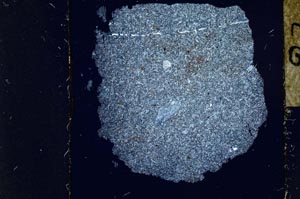 Cross Polarized, S23931