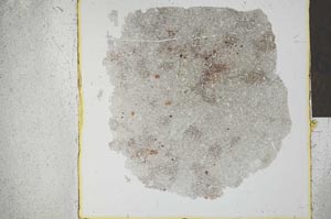 Plane Polarized, S23931