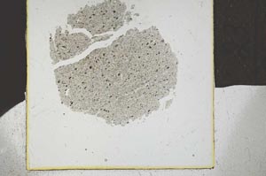 Plane Polarized, S23934