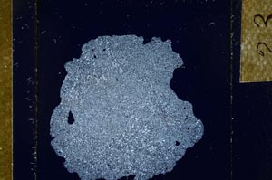 Cross Polarized, S23937