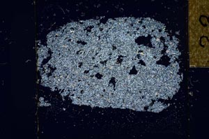 Cross Polarized, S23939