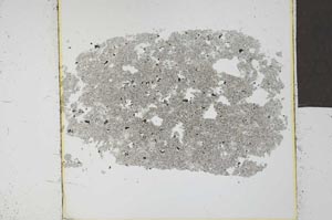 Plane Polarized, S23939