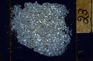 Cross Polarized, S23940