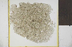 Plane Polarized, S23940