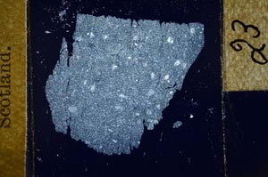 Cross Polarized, S23941