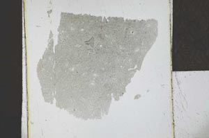 Plane Polarized, S23941