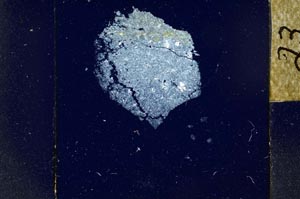 Cross Polarized, S23941/A