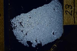 Cross Polarized, S23942