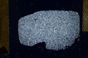 Cross Polarized, S23943