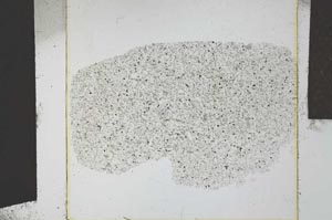 Plane Polarized, S23943