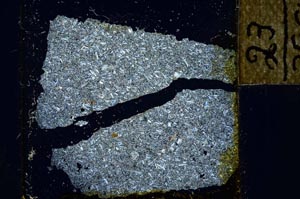 Cross Polarized, S23945