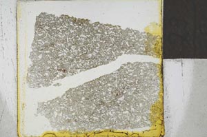 Plane Polarized, S23945