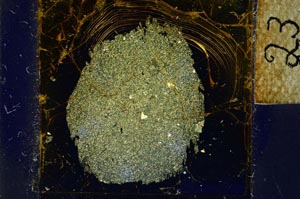 Cross Polarized, S23947