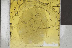 Plane Polarized, S23947