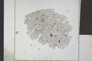 Plane Polarized, S23955