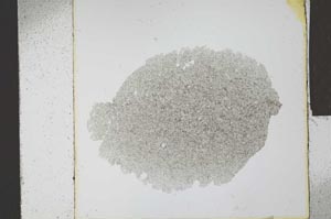 Plane Polarized, S23956