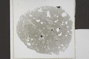 Plane Polarized, S23958