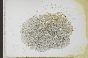 Plane Polarized, S23967