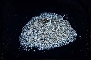 Cross Polarized, S23976