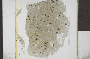 Plane Polarized, S23979