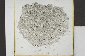 Plane Polarized, S23981