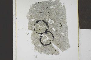 Plane Polarized, S23982