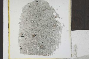 Plane Polarized, S23984