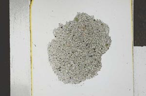 Plane Polarized, S23985