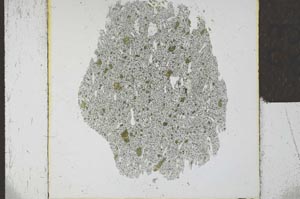 Plane Polarized, S23987