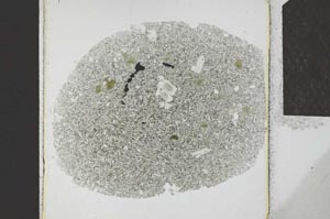 Plane Polarized, S23991
