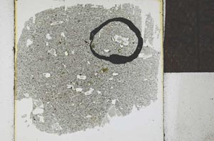 Plane Polarized, S23992
